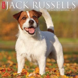 ジャックラッセル テリア カレンダー 月めくり 2027年 壁掛け 令和9年 犬 犬種別 WILLOW CLEEK プレゼント ギフト 誕生日 クリスマス トラストワンポイント