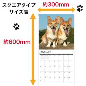 ジャックラッセル テリア カレンダー 月めくり...の詳細画像3