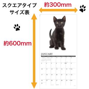 メインクーン キトン カレンダー 2027年 ...の詳細画像3