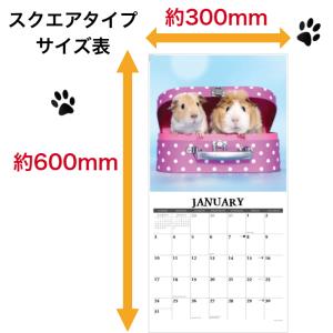 りす リス スクワロル No1 カレンダー 2...の詳細画像3