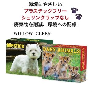 ベビーアニマル 動物の赤ちゃん カレンダー 2...の詳細画像3