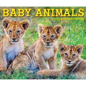 ベビーアニマル 動物の赤ちゃん カレンダー 2...の詳細画像4