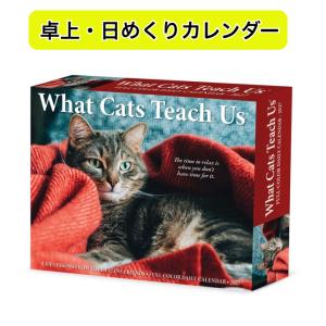 猫が教えてくれる事 日めくり 卓上 2027年 令和9年 BOX 暦 ネコ ねこ  キトン 色々な猫 輸入 WILLOW CLEEK プレゼント 誕生日 クリスマス トラストワンポイント｜犬と動物 トラストワンポイント