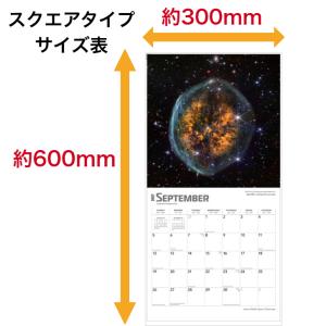 ジェームス・ウェッブ 宇宙望遠鏡 カレンダー ...の詳細画像4