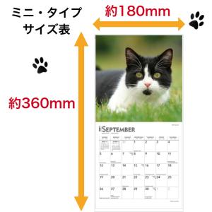 【送料無料】キャット 猫 カレンダー ミニサイ...の詳細画像4