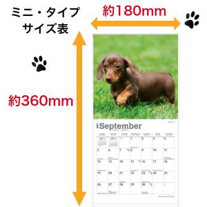 【送料無料】ダックスフンド パピー カレンダー...の詳細画像4