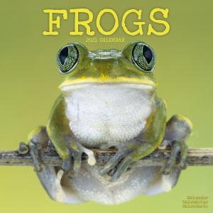 カエル フロッグ 蛙 かえる 両生類【スクエアタイプ/エーボンサイド】カレンダー 2021年 令和3年 動物  壁掛け 輸入