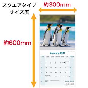 ペンギン カレンダー 2027年 月めくり 壁...の詳細画像3