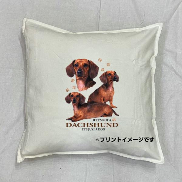 ダックスフンド クッション NEW 50ｘ50cm 大きめ ビッグサイズ 洗える かわいい おしゃれ...