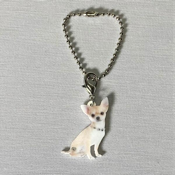 チワワチワワグッズ バッグチェーン マスクチャーム アクリル 犬 いぬ イヌ dog 犬種別 犬雑貨...