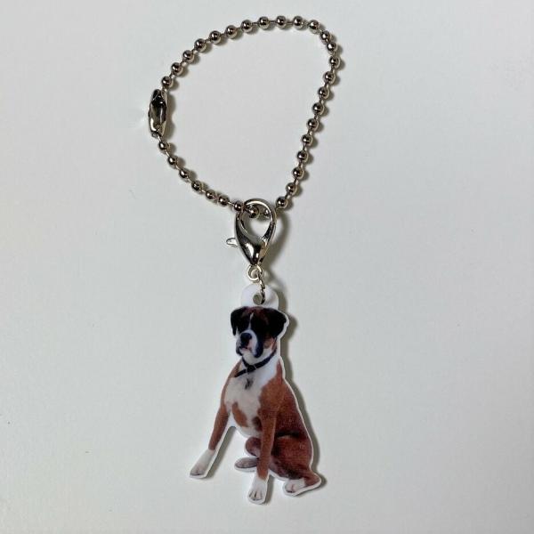 ボクサー ボクサーグッズ バッグチェーン マスクチャーム アクリル 犬 いぬ イヌ dog 犬種別 ...