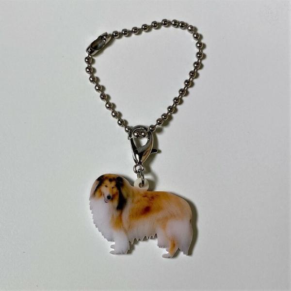 コリー コリーグッズ バッグチェーン マスクチャーム アクリル 犬 いぬ イヌ dog 犬種別 犬雑...