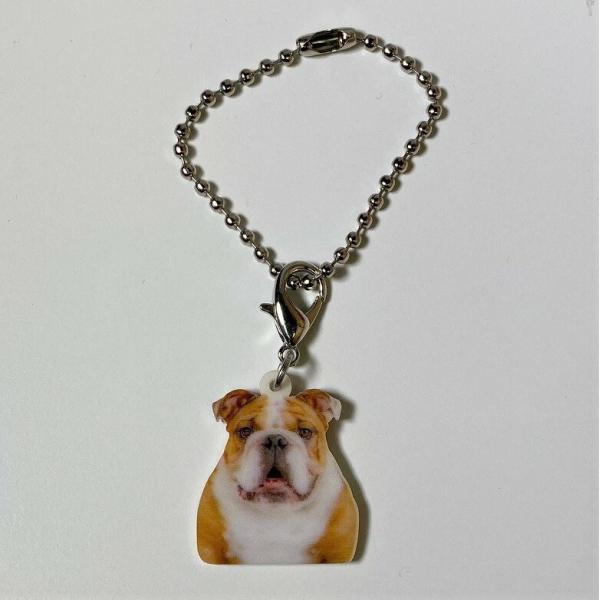ブルドッグブルドッググッズ バッグチェーン マスクチャーム アクリル 犬 いぬ イヌ dog 犬種別...