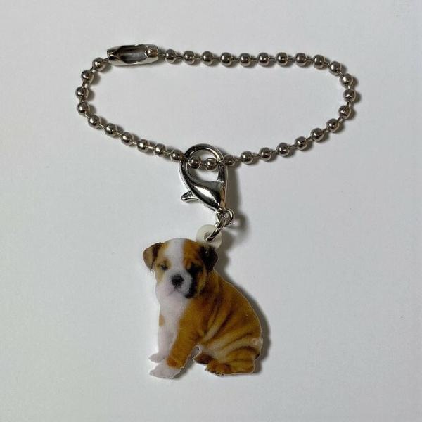 ブルドッグパピー ブルドッググッズ バッグチェーン マスクチャーム アクリル 犬 いぬ イヌ dog...