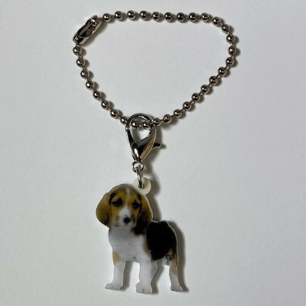 ビーグルパピー ビーグルグッズ バッグチェーン マスクチャーム アクリル 犬 いぬ イヌ dog 犬...