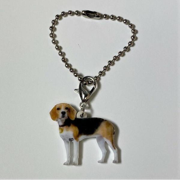 ビーグルパピー ビーグルグッズ バッグチェーン マスクチャーム アクリル 犬 いぬ イヌ dog 犬...