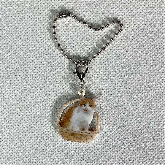 ねこ catネコグッズ バッグチェーン マスクチャーム アクリル 猫 キャット キトン CAT 猫種...