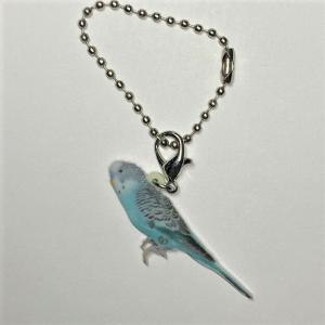 セキセイインコ鳥グッズ ラブバード バッグチェーン マスクチャーム アクリル インコ オーム 小鳥 ことり トリ とり雑貨 bird バード オーナーグッズ かわいい