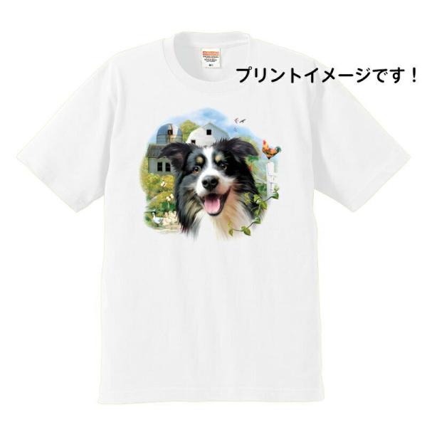 ボーダーコリー tシャツ 半袖 カットソー 丸首型 クルーネック 綿100% コットン トップス 服...