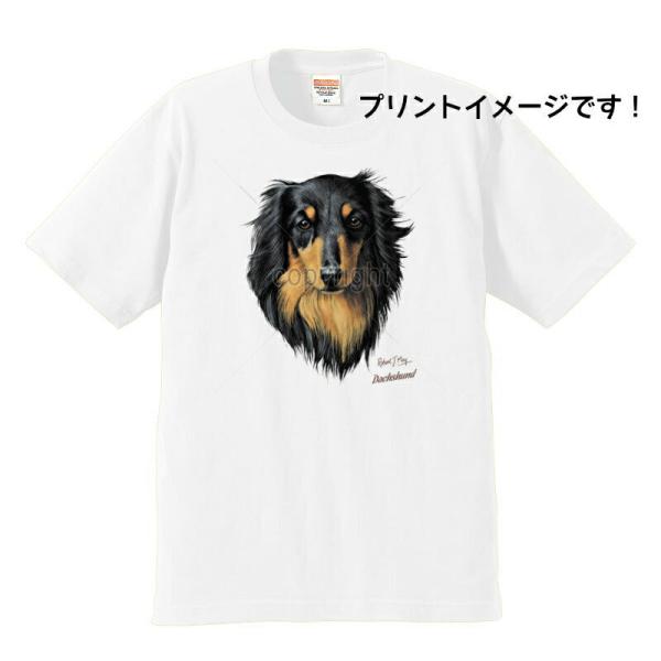 ダックスフンド ダックスフント (RJM) tシャツ 半袖 カットソー 丸首型 クルーネック 綿10...