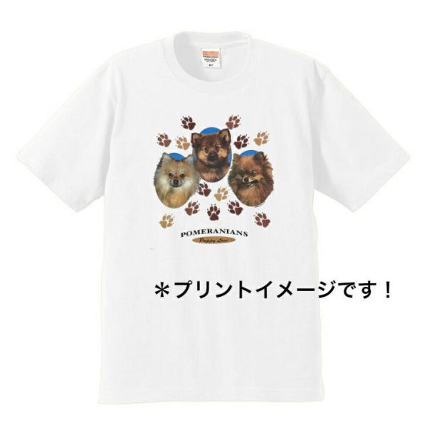 ポメラニアン tシャツ 半袖 カットソー 丸首型 クルーネック 綿100% コットン トップス 服 ...