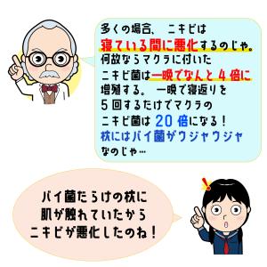 ニキビ HEL HEL ヘルヘル シーツ ニキ...の詳細画像3