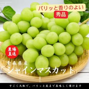 ★2026年秋予約販売★イチオシ！パリッと新鮮☆シャインマスカット 1〜1.2kg（2房） 当社農園直送 ぶどう 2026年9月上旬発送予定  青森県産、贈答