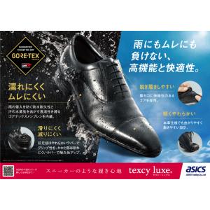 テクシー リュクス ビジネスシューズ ゴアテッ...の詳細画像1