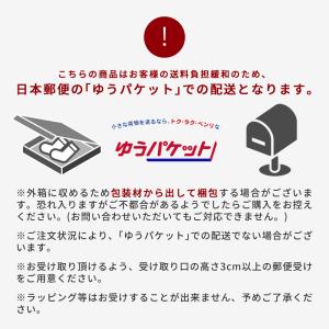 ニューバランス インソール メンズ レディース...の詳細画像5