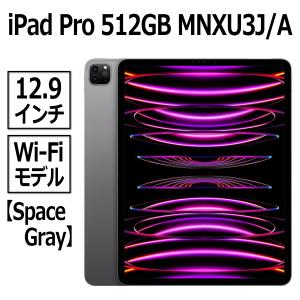 Apple iPad Pro 12.9インチ (第 5 世代) Wi-Fi 512GB スペースグレイ 