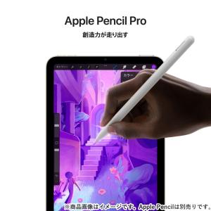 Apple iPad mini 8.3型 12...の詳細画像5