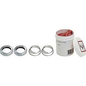 DT Swiss スターラチェット 36T 純正 スペシャルグリス