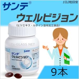 ウェルビジョン　2袋 サンテ サンテ ウェルビジョン 参天製薬 2本 ルテインサプリメント 眼