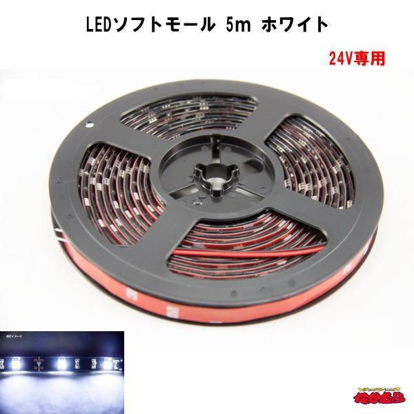 LEDソフトモール　5ｍ　24V専用　ホワイト