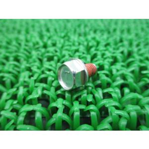 GPZ900R エンジンカバーボルト 在庫有 即納 カワサキ 純正 新品 バイク 部品 ZRX400...