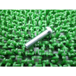 SR400 イグニッションコイルパンヘッドスクリュー ヤマハ 純正 新品 バイク 部品 TZR250...