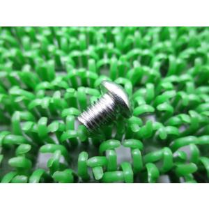 ZRX1200DAEG ヒートガードボルト 在庫有 即納 カワサキ 純正 新品 バイク 部品 6X8...