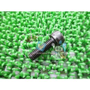 GPZ900R トップブリッジボルト 在庫有 即納 カワサキ 純正 新品 バイク 部品 8x25 1...