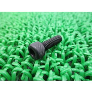 ゼファー400 フロントマスターシリンダーボルト カワサキ 純正 新品 バイク 部品 在庫有り 即納...