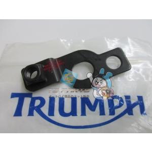 TRIUMPH（トライアンフ） タイガー800 フロントブレーキディスク 片側