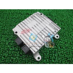 DILTS JAPAN（ディルツジャパン） ディルツ エニグマ ファイヤープラス