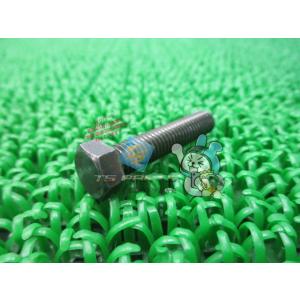 ZX-10R チェーンアジャスターボルト 在庫有 即納 カワサキ 純正 新品 バイク 部品 車検 G...