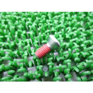 KDX250SR ブレーキディスクロータースクリュー 92009-1546