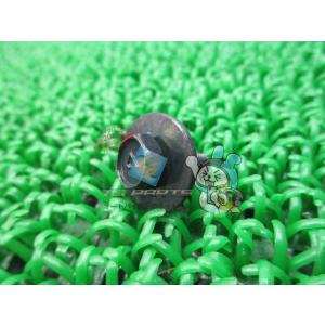 ZRX400 ナンバーステーボルト 在庫有 即納 カワサキ 純正 新品 バイク 部品 Ninja25...