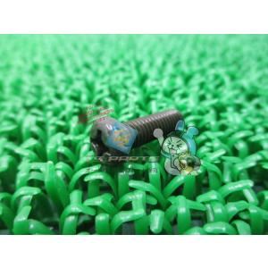 V-MAX サイドカバースクリュー 在庫有 即納 ヤマハ 純正 新品 バイク 部品 車検 Genui...