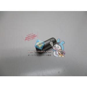 500SSマッハIII エンジンカバーピン 在庫有 即納 カワサキ 純正 新品 バイク 部品 KAW...