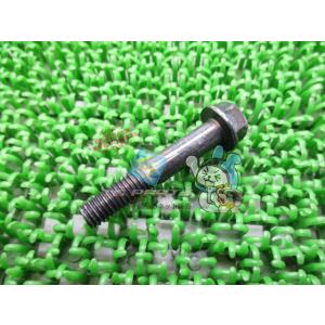 エリミネーター250V リアフェンダーフランジボルト 在庫有 即納 カワサキ 純正 新品 バイク 部...