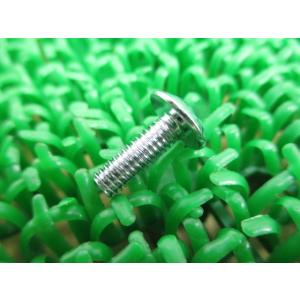 バンディット400 ラジエタースクリュー 在庫有 即納 スズキ 純正 新品 バイク 部品 SUZUK...