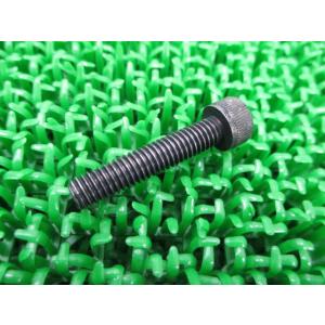 GSX-R1000 ミラークッションボルト 在庫有 即納 スズキ 純正 新品 バイク 部品 車検 G...