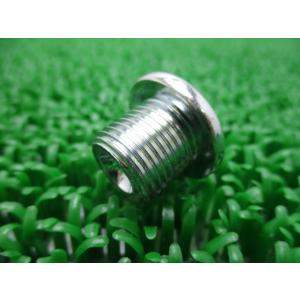 スカイウェイブ250 クランクケースプラグ 在庫有 即納 スズキ 純正 新品 バイク 部品 0924...